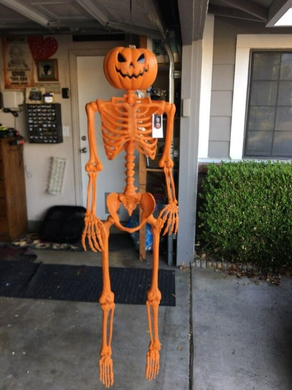Photo 1 of 60” Posable Pumpkin Skeleton Halloween Decorative Mannequin Hyde & EEK