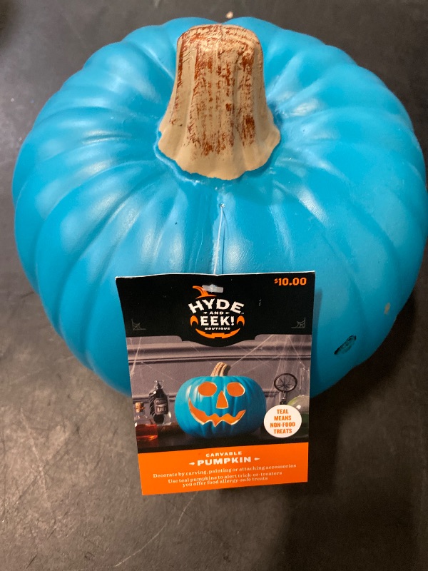 Photo 1 of Hyde & Eek! Boutique Holiday Teal Pumpkin Halloween Decor