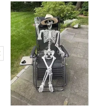 Photo 1 of Hyde & Eek! Boutique 60 Inch Posable Skeleton Halloween Decorative Prop