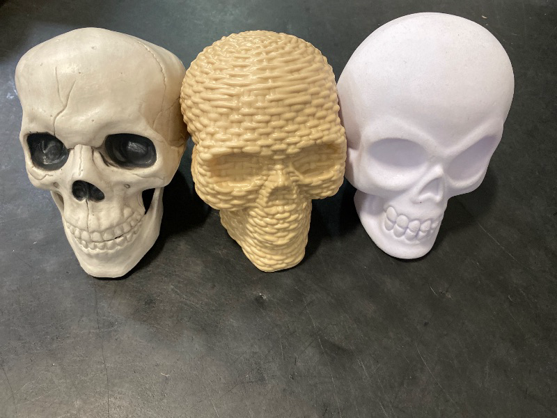 Photo 1 of 3PC HYDE and EEK Skull 