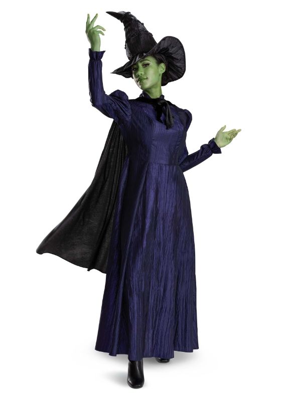 Photo 1 of Large 12-14 Disguise DG166409E Womens Deluxe Wicked Elphaba Costume