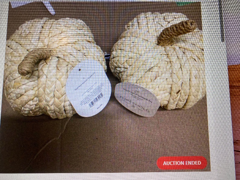 Photo 1 of 2pack The Threshold Medium Woven Pumpkin Light Pumpkin Figurine