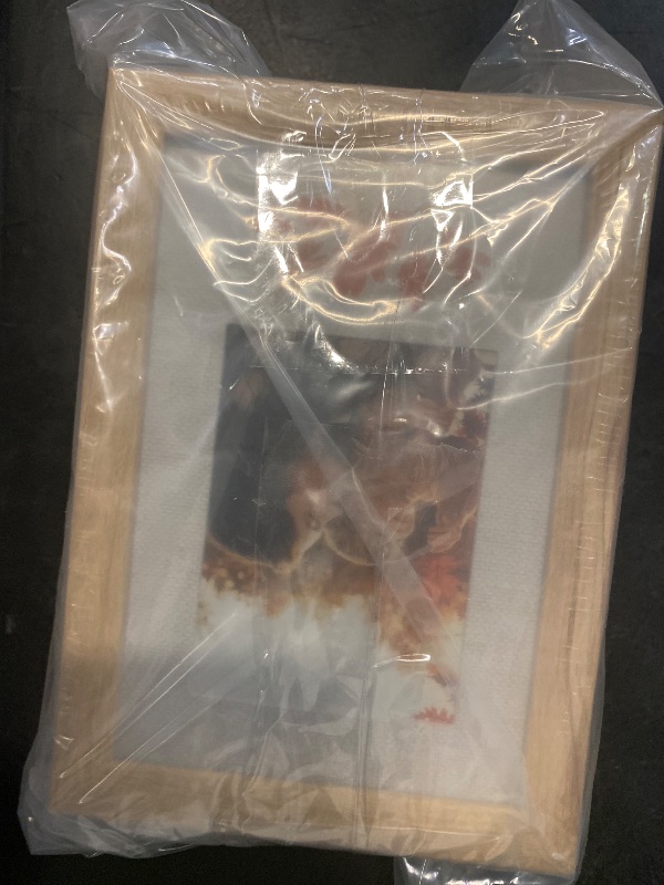 Photo 1 of 5 pack Home Wyatt collection frame