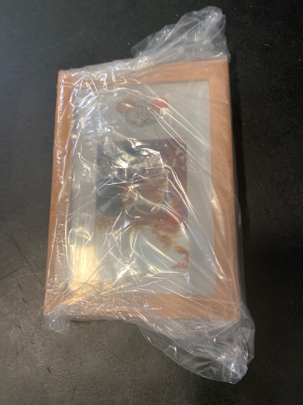 Photo 1 of 3 pack 3x4 Wyatt collection frame 