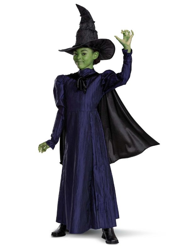 Photo 1 of Large 10-12 Disguise DG166389G Girls Deluxe Wicked Elphaba Purple Dress Costume