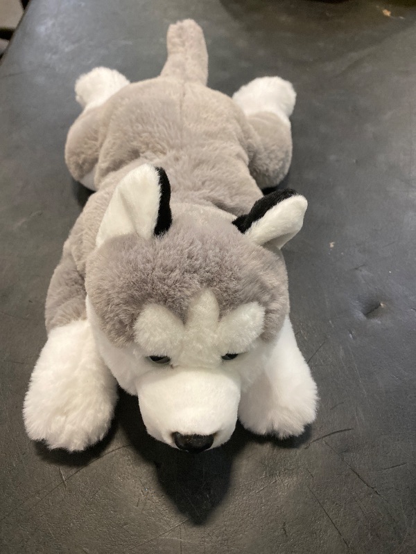Photo 1 of FAO Schwarz Husky Cuddly Ultra-Soft Fur 15" Stuffed Animal