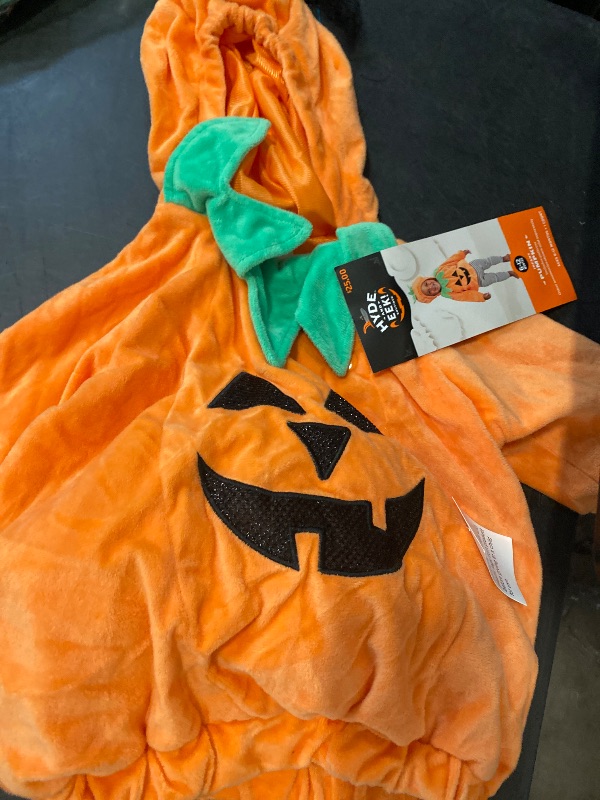 Photo 1 of 6-12 Baby Boy/ Girls Hyde & Eek Pumpkin Halloween Costume 