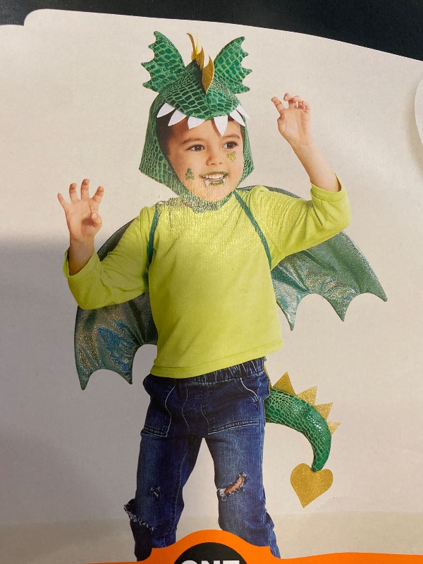 Photo 1 of One Size toddler Hyde and Eek Green Dragon 