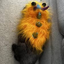 Photo 1 of Halloween Monster Hoodie Dog and Cat Costume - Hyde and EEK