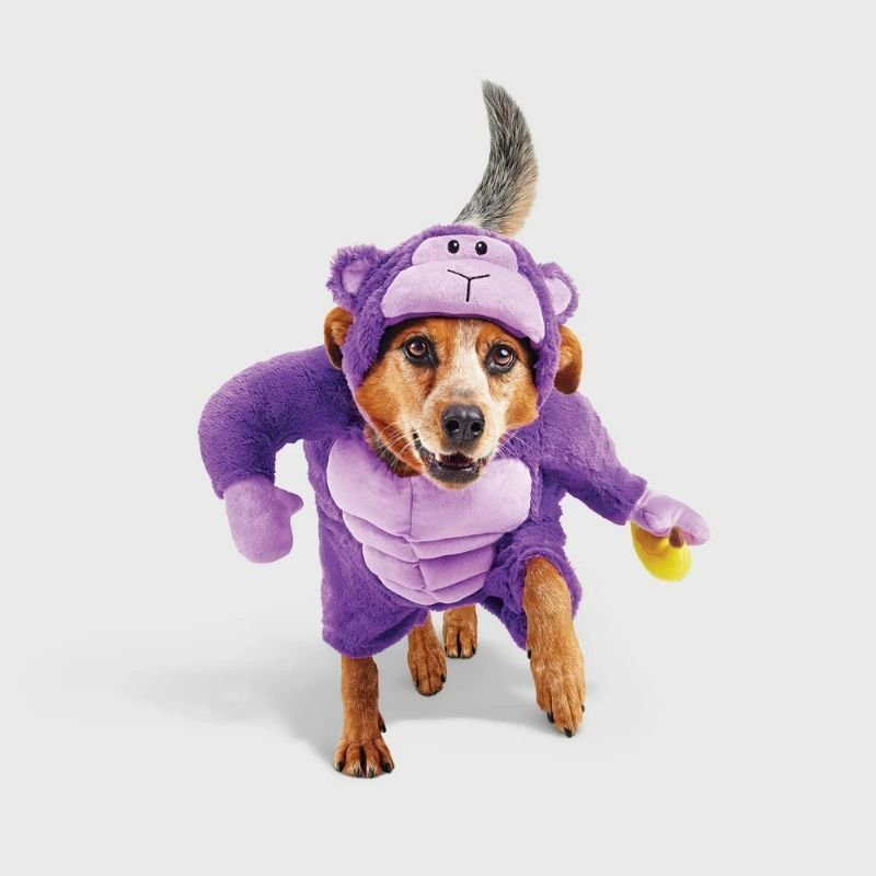 Photo 1 of Size XL Halloween Gorilla Dog Frontal Costume with Banana Toy - Hyde and EEK! Boutique™