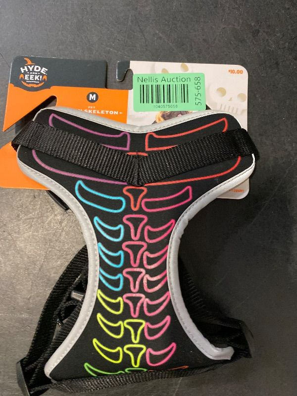 Photo 1 of Size M Neon Skeleton Dog Harness Costume  Hyde & EEK! Boutique NEW