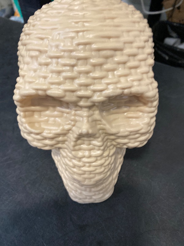 Photo 1 of 2 pack Hype & Eek Halloween Decor Skull