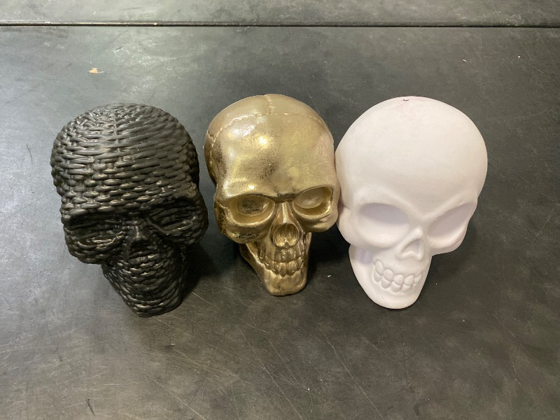 Photo 1 of 3 pack Skull Halloween Decorative Prop - Hyde & EEK! Boutique