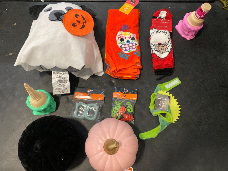 Photo 1 of 10 Halloween items /decor 