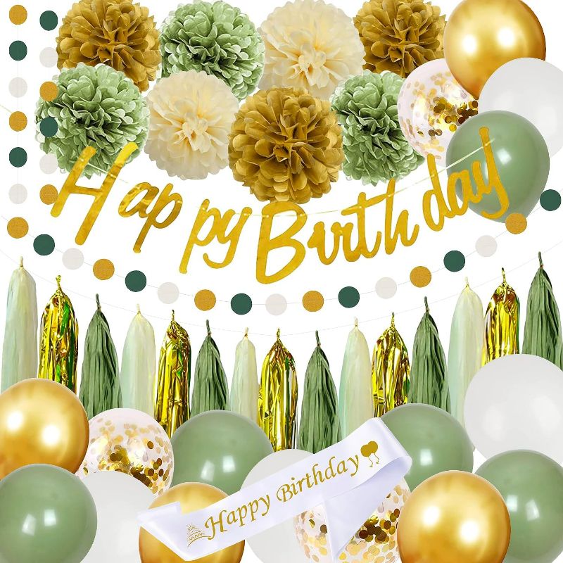 Photo 1 of Sage Green Birthday Party Decorations with Happy Birthday Banner,Gold Fringe Curtain,Circle Dots Garland,Tissue Pompoms,Paper Tassels Garland for Girls Women for Party Decor (sage green)