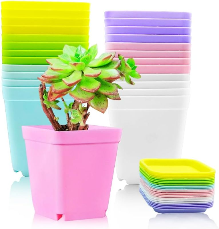 Photo 1 of Haawooky 24 Pack Colorful Flower Pots Square Plastic Plant Pots Succulent Planter Nursery Pots with Saucers for Your Room,Garden Office and Balcony Decor