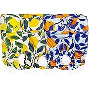 Photo 1 of Pet Magasin Reusable Dog Diapers Female Washable (Pack of 3), Premium Doggie Diapers for Female Dogs for Period Heat, Highly Absorbent Dog Diaper for Heat (Botanical Fruit, L (18”-24” Waist))