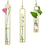 Photo 1 of *Missing Short Flower Clear Holder* Glass Propagation Station Test Tube Vases Clear Glass for Cuttings, Buds, Greenery Hydroponic Plant Propagation Home Balcony Bath Wall Decoration Floral Container Set of 3 Gold