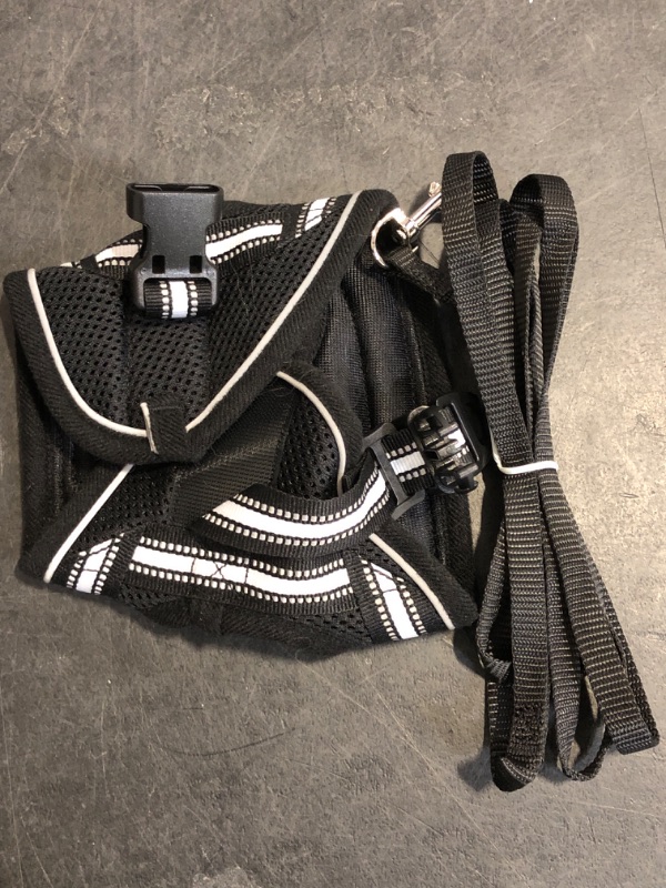 Photo 1 of rabbitgoo Cat Harness and Leash Set for Walking Escape Proof, Adjustable Soft Kittens Vest with Reflective Strip for Cats, Comfortable Outdoor Vest, Black, S