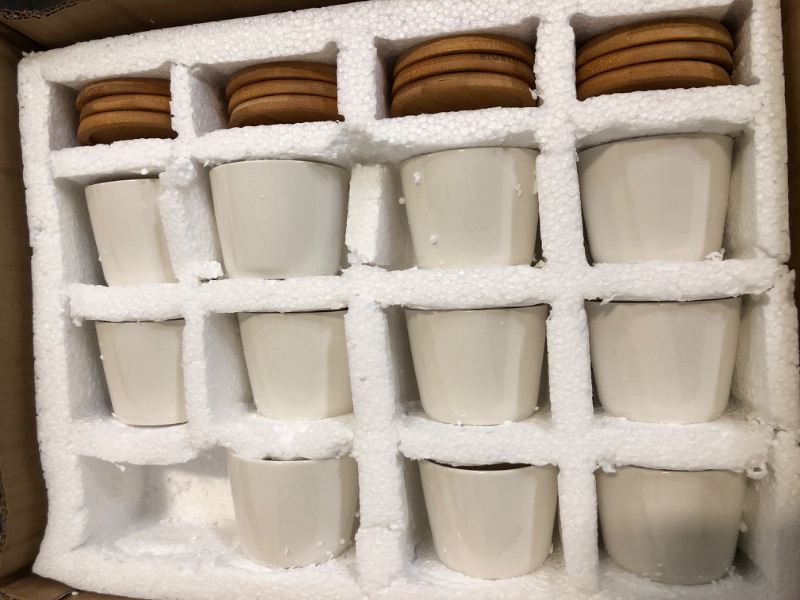 Photo 1 of 12 Pack Small Succulent Plant Pots with Bamboo Tray,2.5 Inch Mini White Ceramic Plant Pots for Succulent or Cactus, Gifts for Plant Lover, Indoor Home Garden Office Decorations