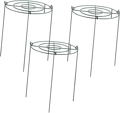 Photo 1 of 3 Pieces Peony Cages and Supports Plant Support Stakes Metal Frame Grow Through Hoops for Tomato Flopping Flowers Vegetables, Circles.  size- 12'' x 12'' 