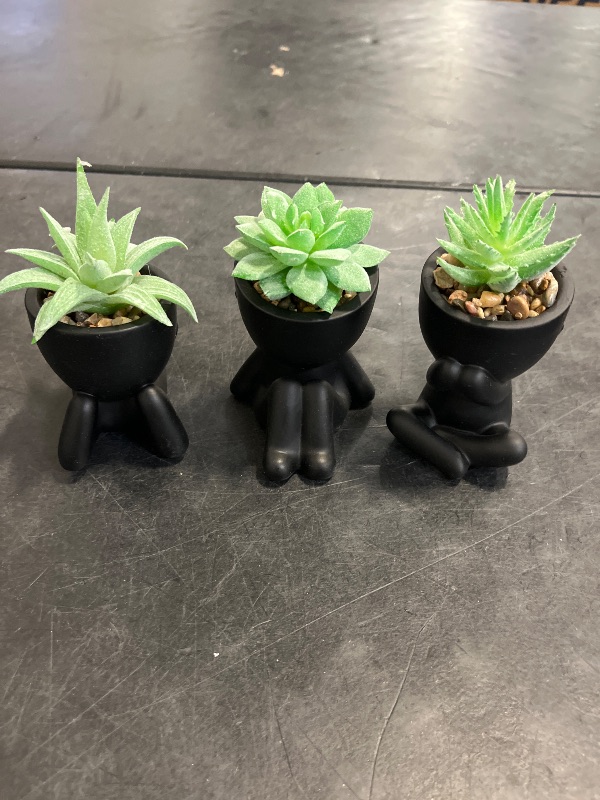 Photo 1 of Der Rose 3pcs Fake Succulents Plants Artificial for Black Bathroom Bedroom Home Room Decor Aesthetic Indoor