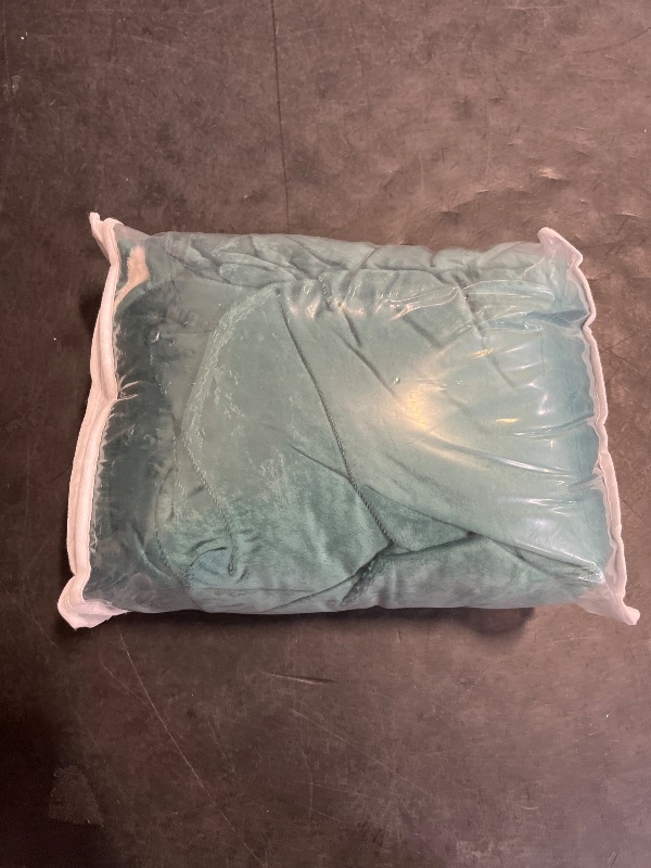 Photo 1 of Tuffeel Waterproof Dog Blankets, Washable Pee Proof Pet Blanket for Couch, Soft Reversible Puppy Throw Furniture Protector Cover for Bed Sofa-68"x82",Green+Cream