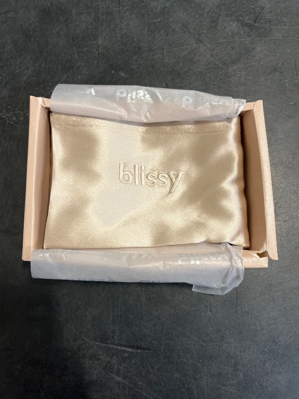 Photo 1 of Blissy Silk Pillowcase - 100% Pure Mulberry Silk - 22 Momme 6A High-Grade Fibers - Silk Pillow Cover for Hair & Skin - Regular, Queen & King with Hidden Zipper (Standard, Champagne)