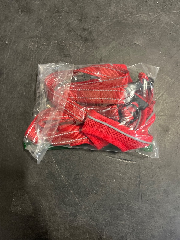 Photo 1 of BELLA & PAL Puppy Harness with Leash Set, Dog Harness for Small Dogs No Pull, Dog Leash for Puppy, Step in Harness for Extra Small Dogs, Red Harness, L