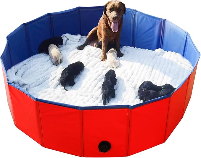 Photo 1 of Artilife Foldable Dog Bath Pool - Portable Whelping Box for Puppies & Dogs (47" Dia.x12" H(120x30cm))