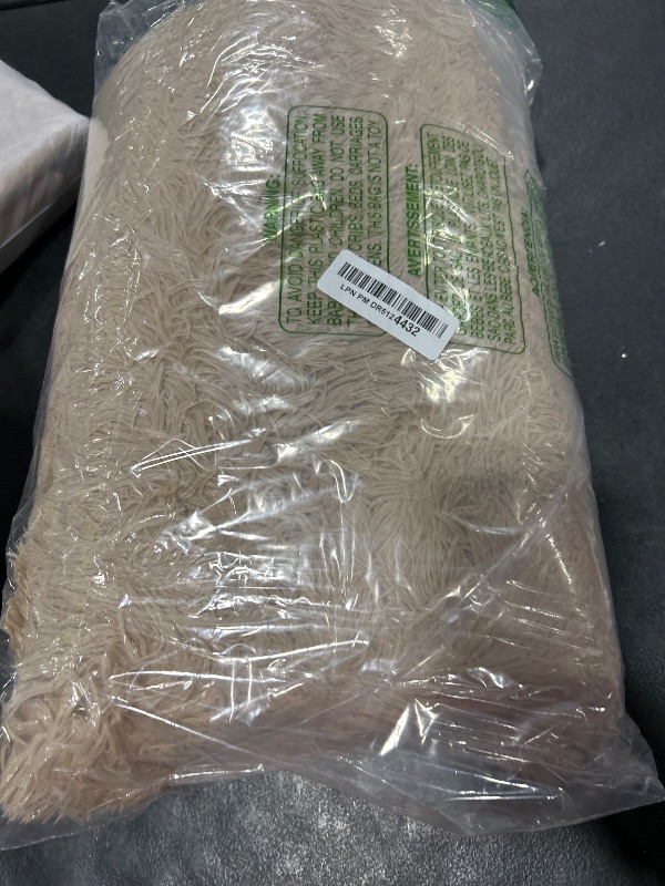 Photo 1 of BROWN RUG 
