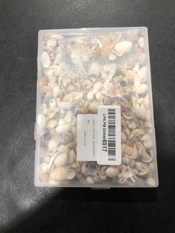 Photo 1 of JQAQJU 1000 PCS Mini Sea Shells Small Starfish Mixed, 20 Kinds of Tiny Seashells Bulk for Crafting, Beach Natural Spiral Conch Shells for Crafts DIY Beach Theme Party Candle Decor Wedding Fish Tank
