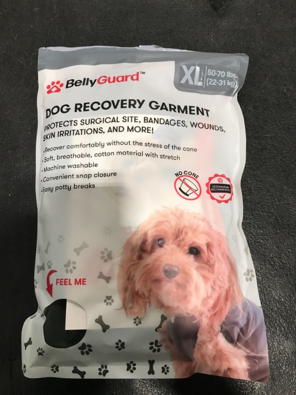 Photo 1 of BellyGuard Recovery Suit for Dogs, Comfy Dog Surgery Suit, Female Spay and Male Neuter Onesie for Post-Op Care