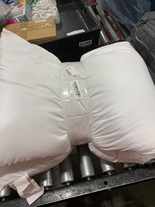 Photo 1 of BedTreat Full Body Pillow Insert for Adults - Soft & Fluffy Body Pillow for Side Sleepers - Long & Breathable Body Pillow Insert(20 X 54,White)