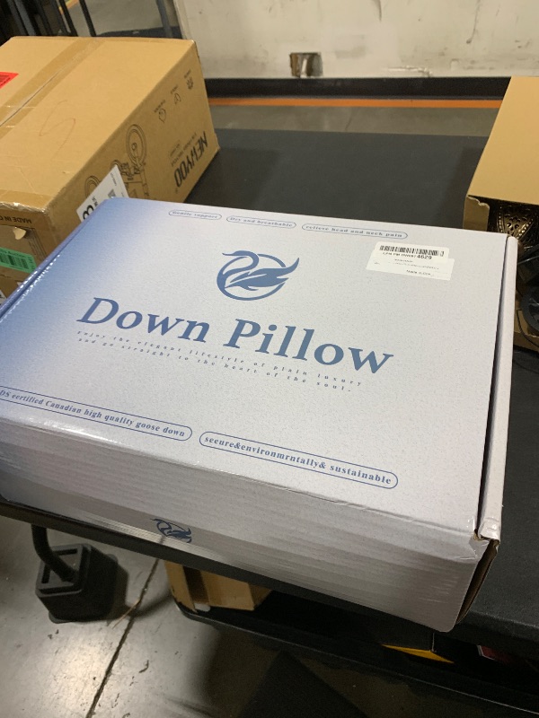 Photo 1 of Canadian White Goose Down Pillows Queen Size Set of 2,900+ Fill Power Side Sleeper Pillow for Sleeping Neck Pain Relief,100% Cotton Shell 600 Thread Count Bed White Hotel Quality Fluffy Pillows