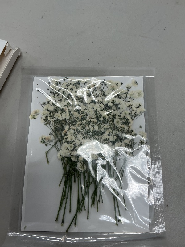 Photo 2 of 50 Pcs Dried Babys Breath Flowers Bulk Ivory White Babys Breath Real Pressed Flowers Natural Gypsophila for Resin Wedding Art Craft DIY Invitations Scrapbooking Card Making