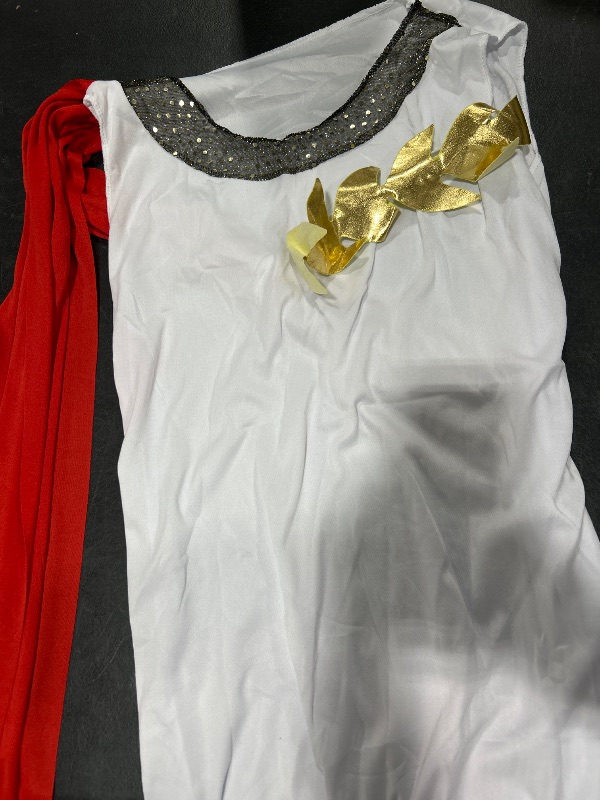 Photo 1 of COSTUME 