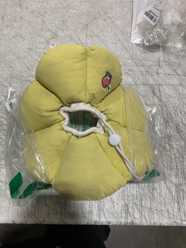 Photo 1 of Cone for cat or dog 
