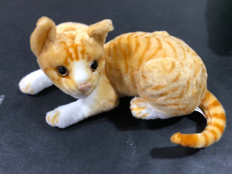 Photo 1 of CAT PLUSHIE