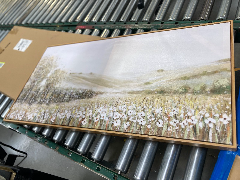 Photo 1 of Decorative Canvas  Frame 19x39in