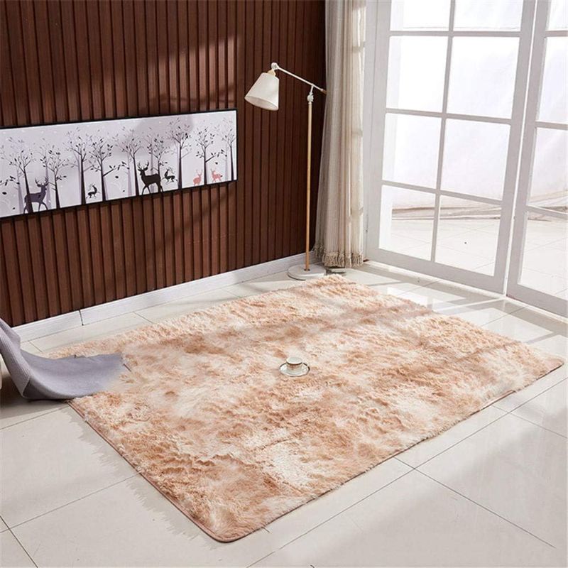 Photo 1 of Large Size Area Rug