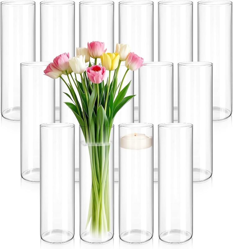 Photo 1 of 15 Pcs Glass Cylinder Vase for Centerpieces 16 Inch Tall Glass Flower Vases Modern Clear Hurricane Candle Holder Floral Vase Bulk for Table Shelf Party Home Wedding Decor (16 x 3.35 Inch)

