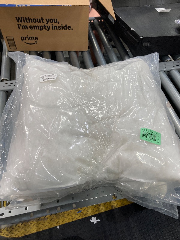Photo 1 of 2 PILLOWS 