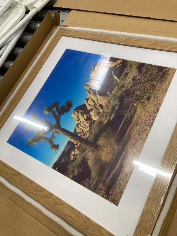Photo 1 of *Crack in Frame* SkyDrama 20 in x 20 in Beige Beige Wood Grain Style Frame
