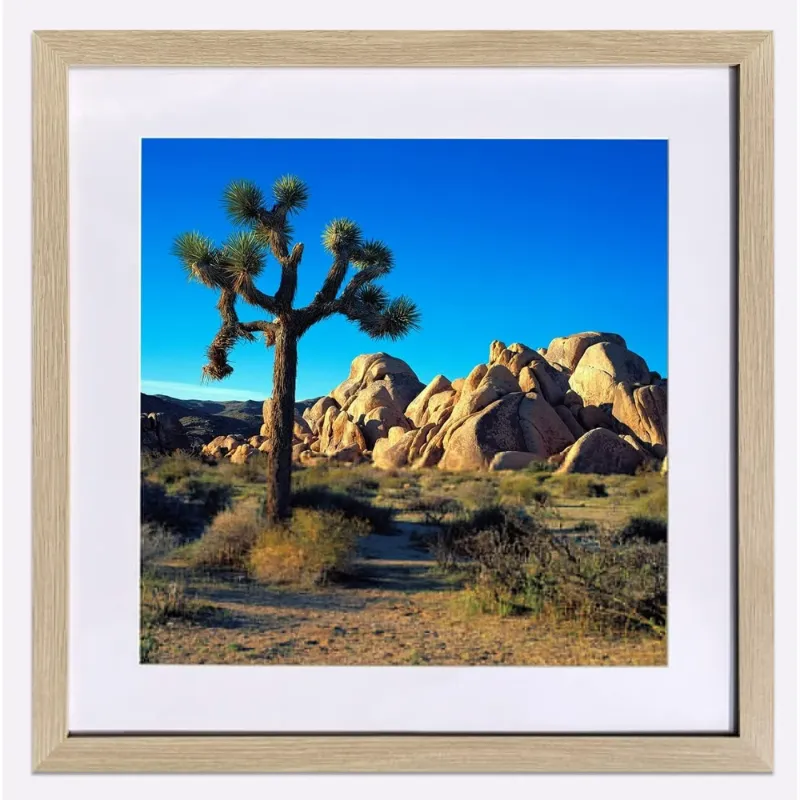 Photo 1 of *Crack in Frame* SkyDrama 20 in x 20 in Beige Beige Wood Grain Style Frame

