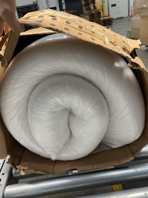 Photo 1 of 12 Inch
