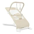 Photo 1 of **FABRIC TORN** BabyBjorn Bouncer with Flying Friends Bundle