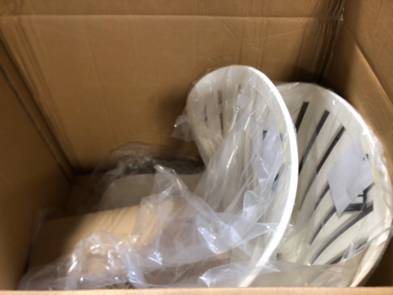 Photo 1 of Brampton | Eucalytpus Wood | Ideal for Patio and Indoors Amazonia Reims 2-Piece Outdoor Dining Chair Set, White