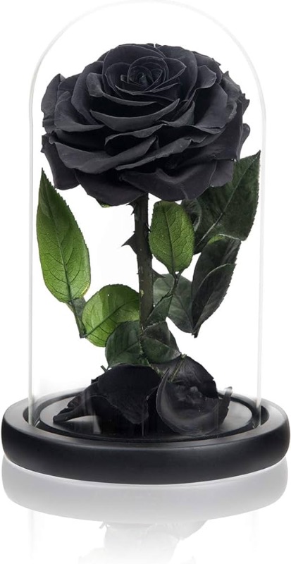 Photo 1 of 
NATROSES Handmade Preserved Roses in Glass Dome, Black Roses Roses, Preserved Flowers Gifts for Women, Mothers Day Flowers