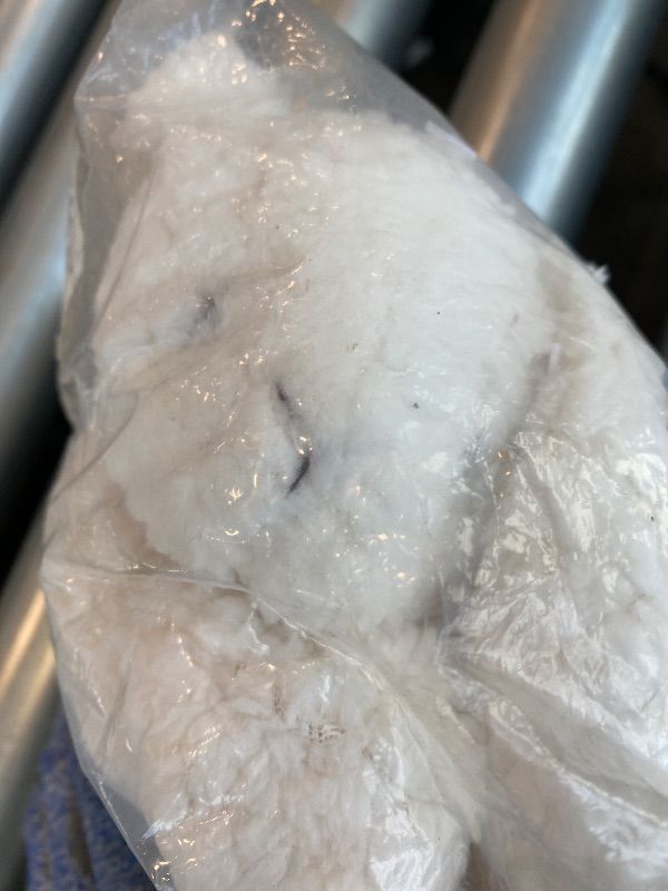 Photo 1 of ***MISSING PIECES*** Mary Meyer Lovey Soft Toy, 13-Inches, Oatmeal Bunny